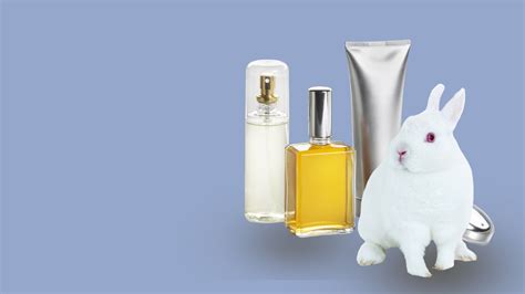 hermes cruelty free|cruelty free cosmetics reviews.